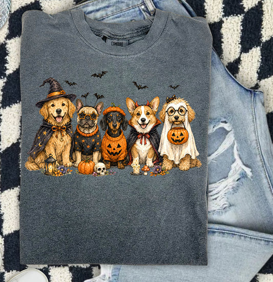 Halloween Dogs DTF transfer featuring five cute dogs dressed in witch pumpkin and ghost costumes with pumpkins candy candles and bats