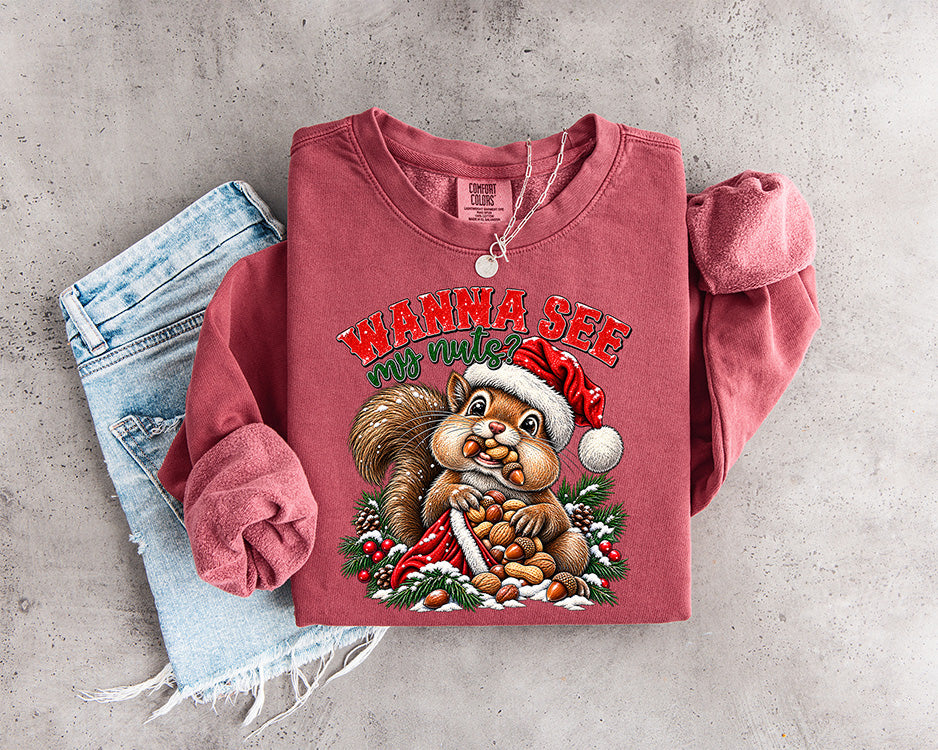Funny Wanna See My Nuts Christmas DTF transfer featuring a squirrel in a Santa hat holding nuts with snowy evergreen branches and berries